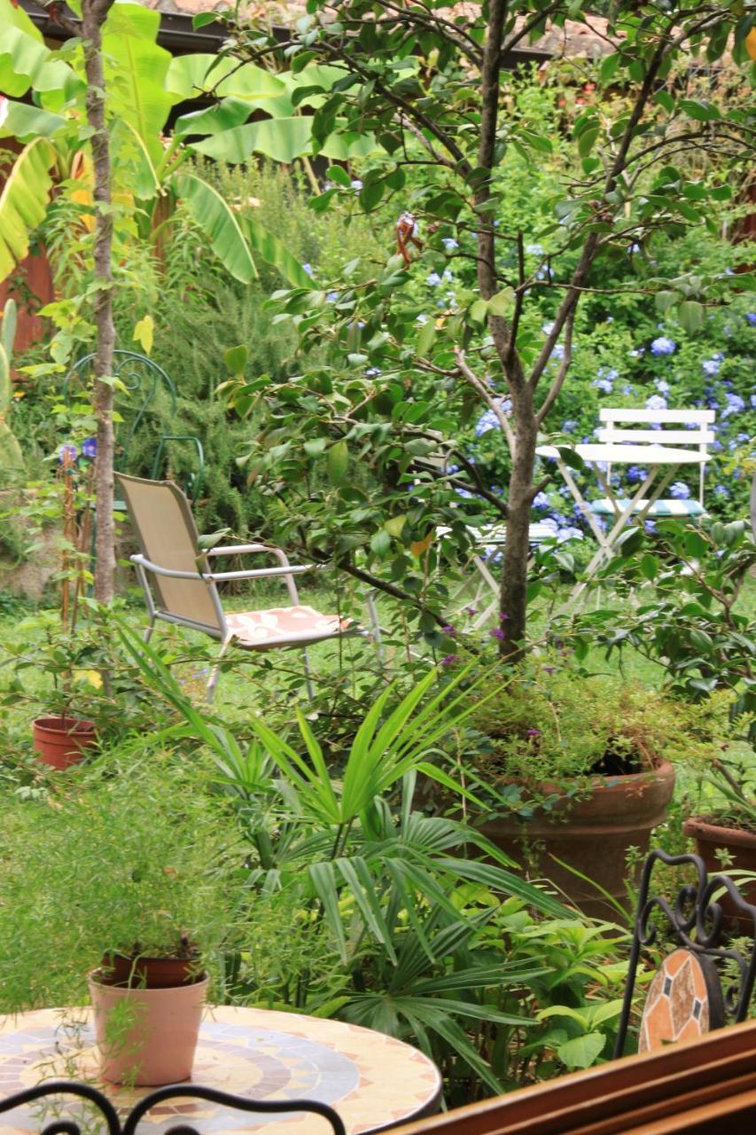 Apartamento Garden Terrace Oltrarno *